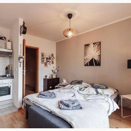 Die Kleine „Louise“ In Der Neustadt Mit Tiefgarage Dresden Eksteriør billede
